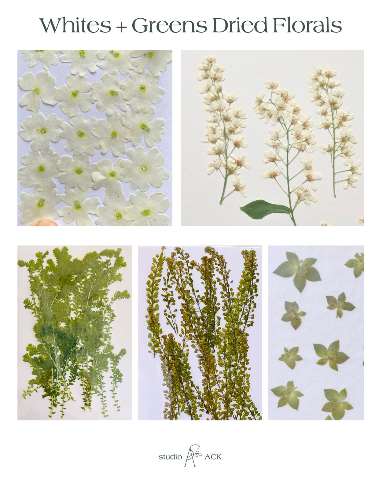Pressed Floral Acrylic Place Cards for 12|17|23 Wedding