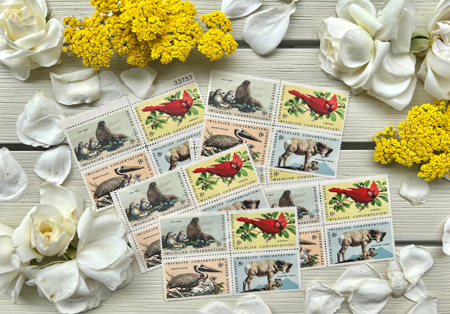 Wildlife Conservation Postage Stamps - Vintage Animal Stamps from 1972