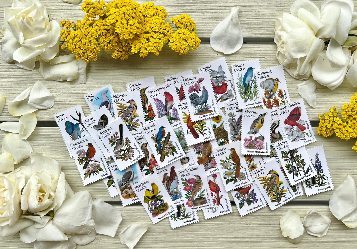 25 Vintage Kentucky State Flower & Bird Stamps - Louisville USPS Stamp - Goldenrod Postage Stamp