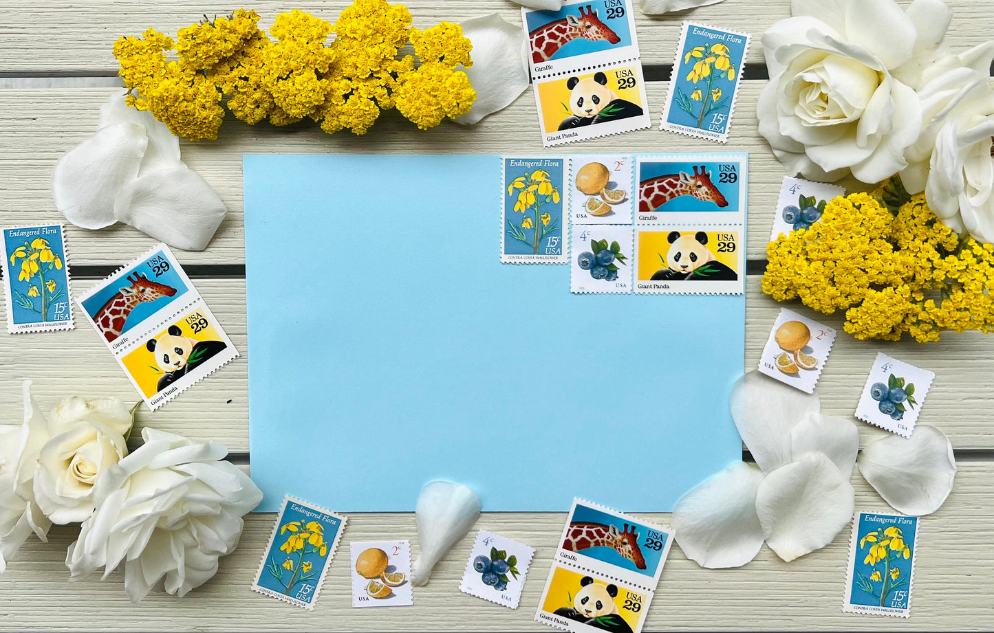 Blue and Yellow Postage Stamps - Baby Shower Invites, Baby Announcement, Zoo Wedding - USPS Curated Stamp Set