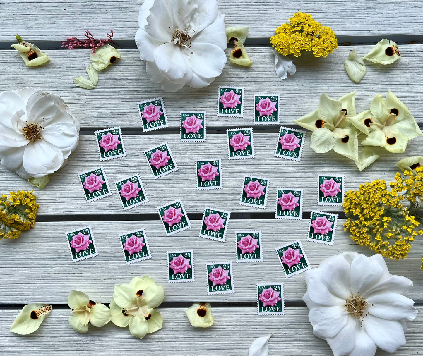 Love Pink Rose Postage Stamps - 25 Vintage Floral USPS Stamps For Wedding Invites - Additional Ounce Flower
