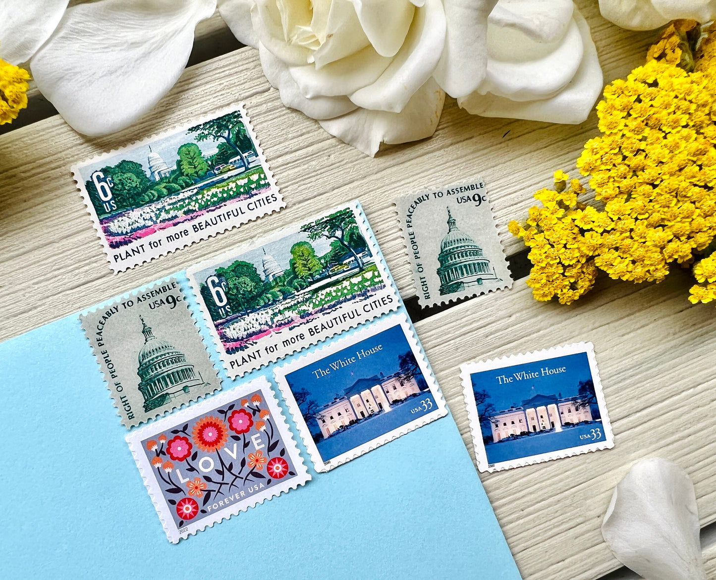 Washington DC Postage Stamp Set - Curated Blue and Teal USPS Stamps for 8 Envelopes - White House & Capitol Stamps for Mailing