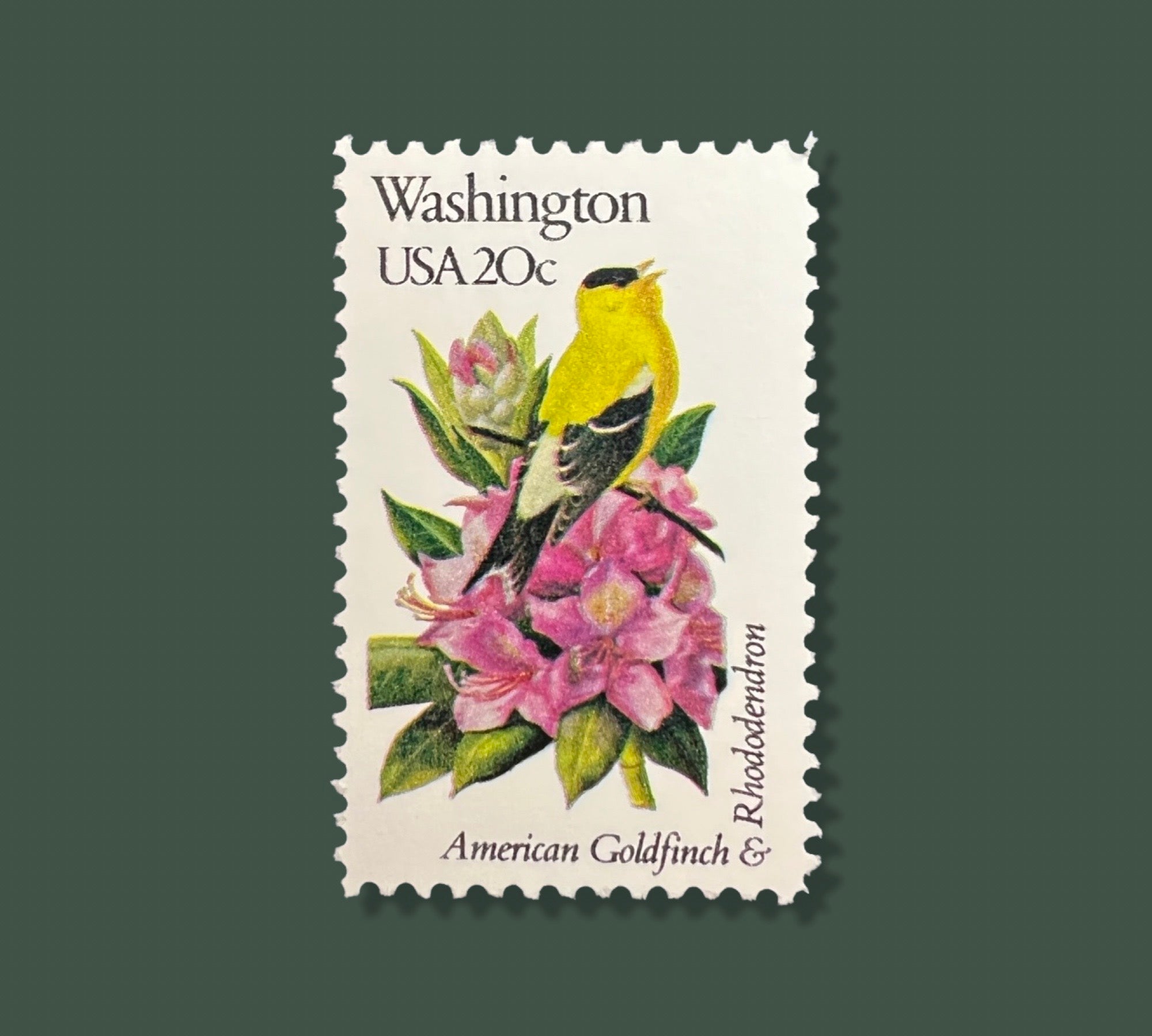 24 Vintage Washington State Flower & Bird Stamps - Seattle/Spokane/Tac