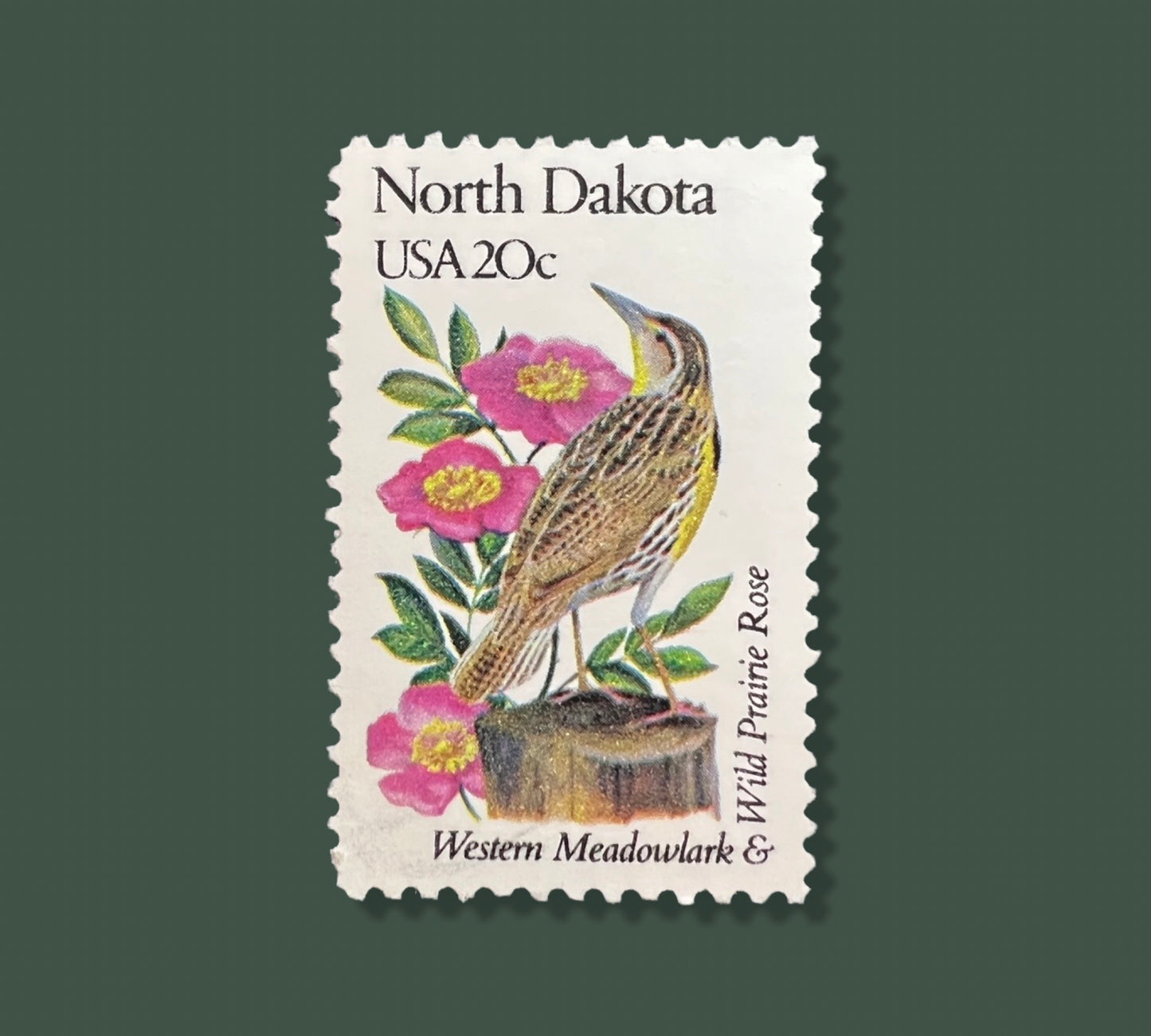 25 Vintage North Dakota State Flower & Bird Stamps - Fargo/Bismarck USPS Stamp - Wild Prairie Rose Postage Stamp