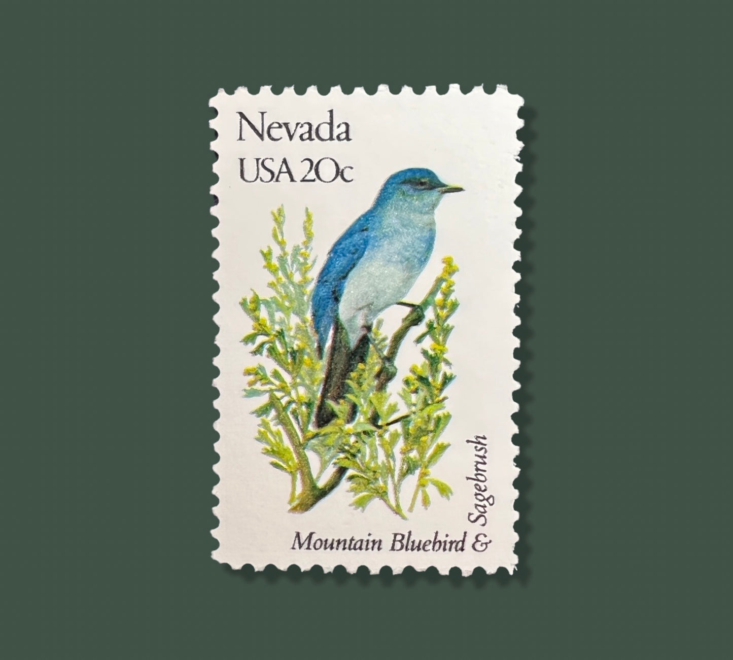 25 Vintage Nevada State Flower & Bird Stamps - Las Vegas USPS Stamp - Sagebrush Postage Stamp