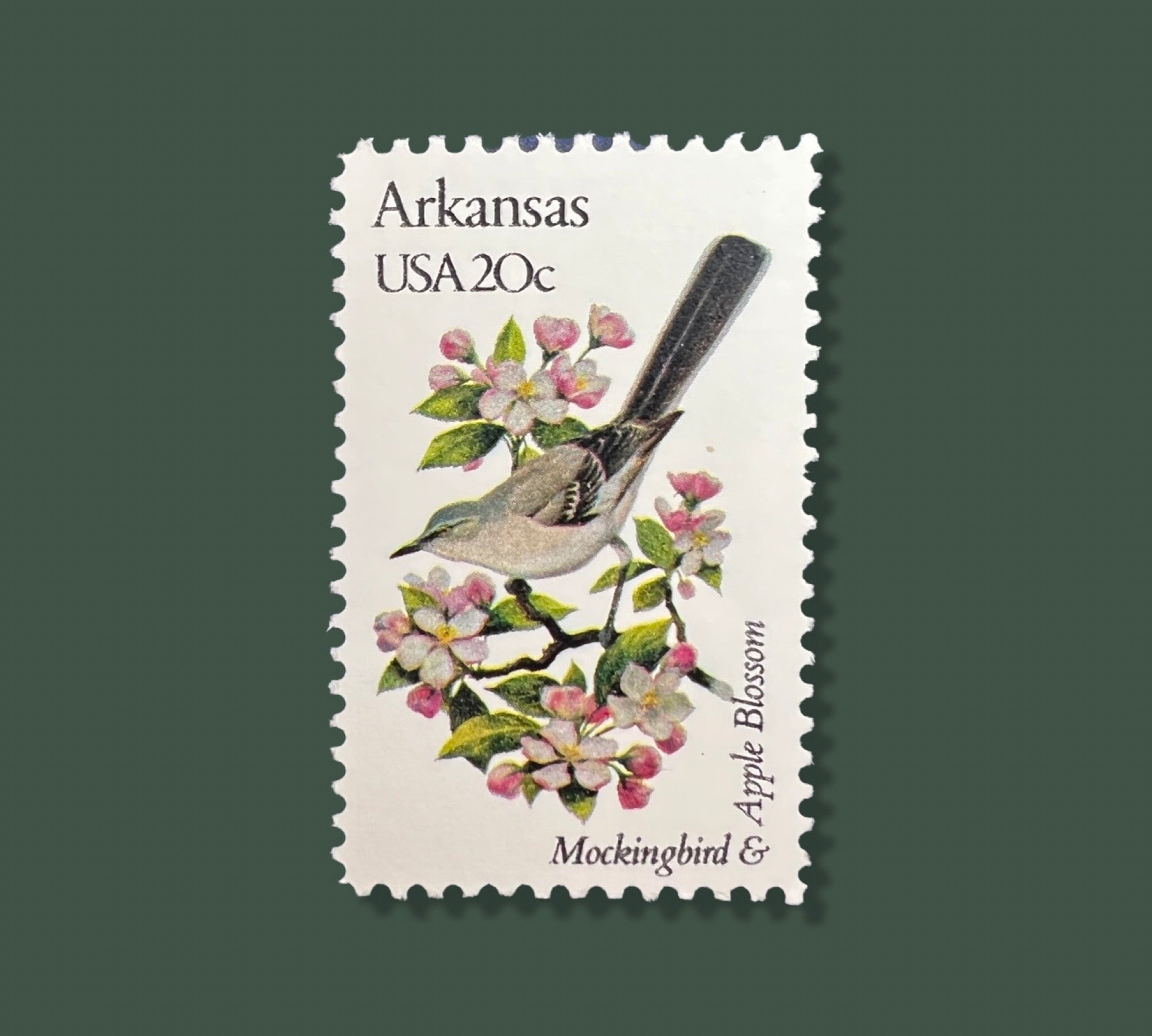 25 Vintage Arkansas State Flower & Bird Stamps - Little Rock 