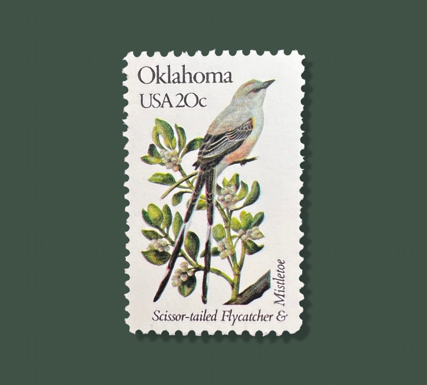 25 Vintage Oklahoma State Flower & Bird Stamps - Oklahoma City / OKC USPS Stamp - Mistletoe