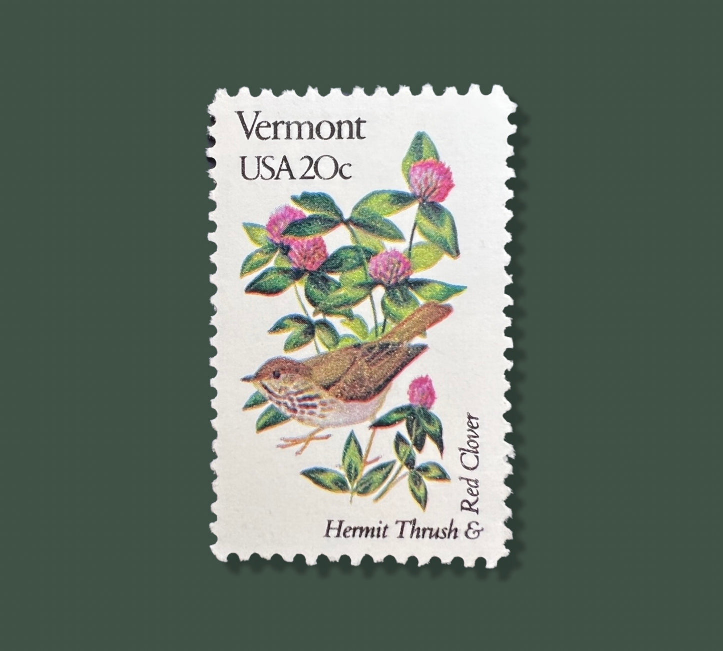 25 Vintage Vermont State Flower & Bird Stamps - Burlington USPS Stamp - Red Clover