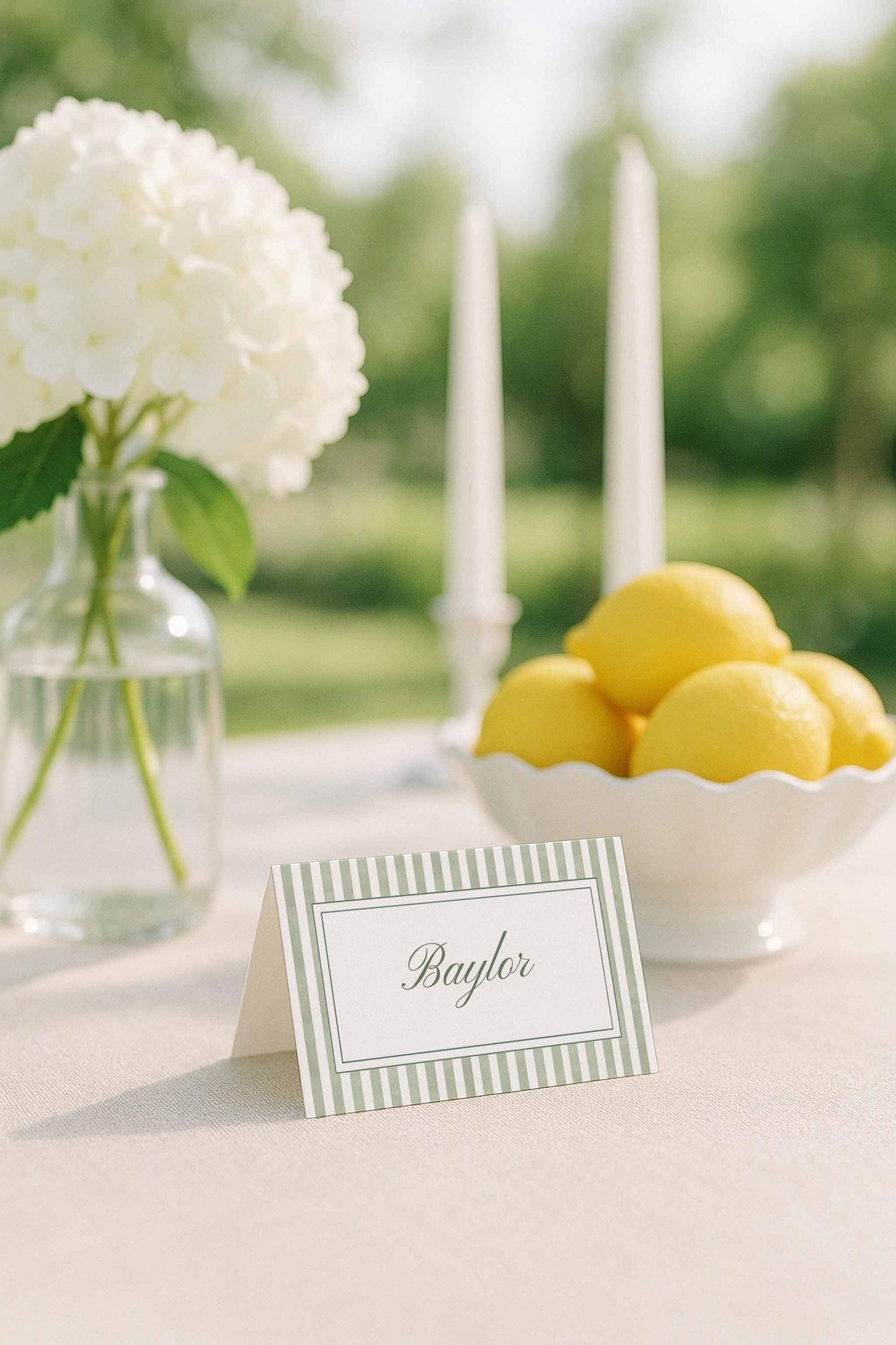 Green Striped Wedding Template Bundle
