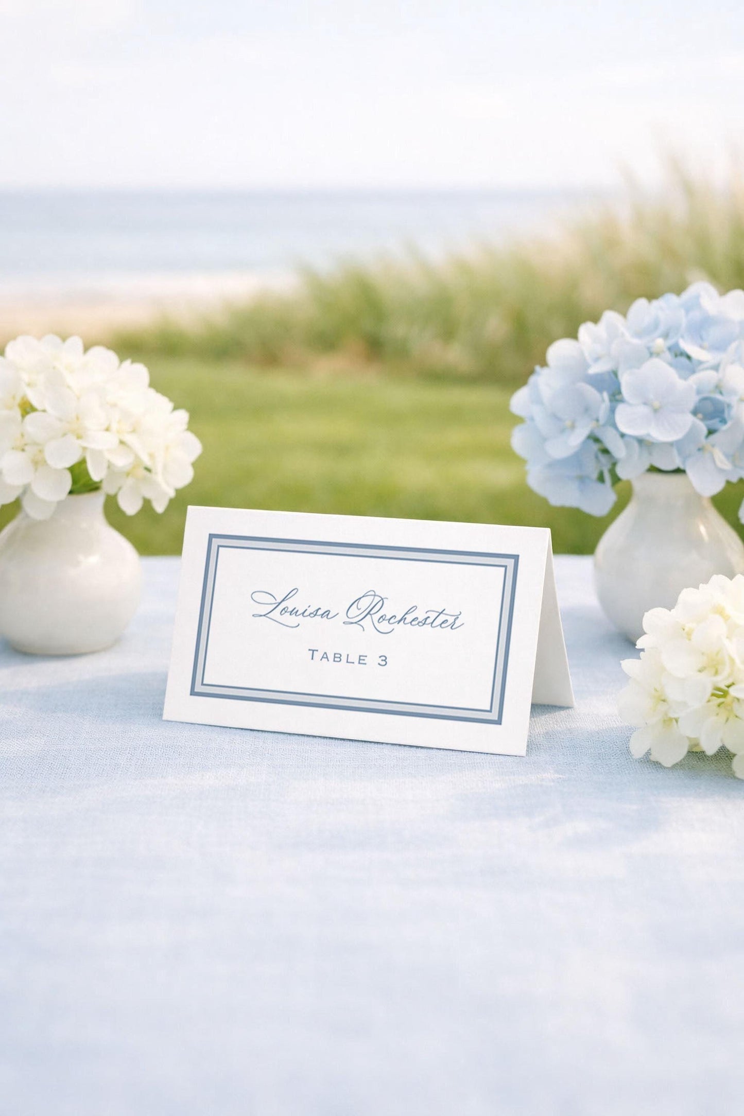 Coastal Toile Wedding Escort Card Template