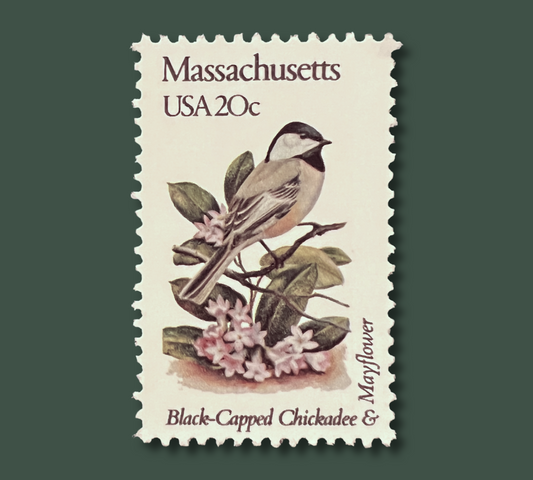 25 Vintage Massachusetts State Flower & Bird Stamps - Boston USPS Stamp - Mayflower Postage Stamp