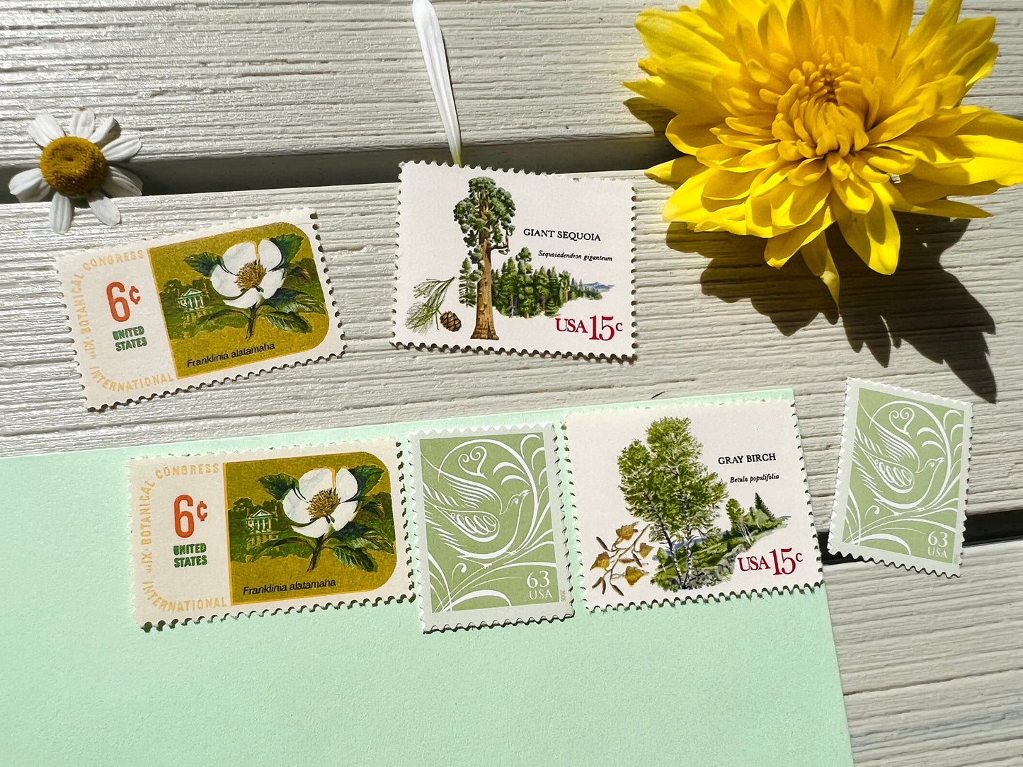 Light Green Wedding Stamps - Love, Nature, Floral, Vintage, Heart Themed  USPS Postage Stamps - Custom Curated Set