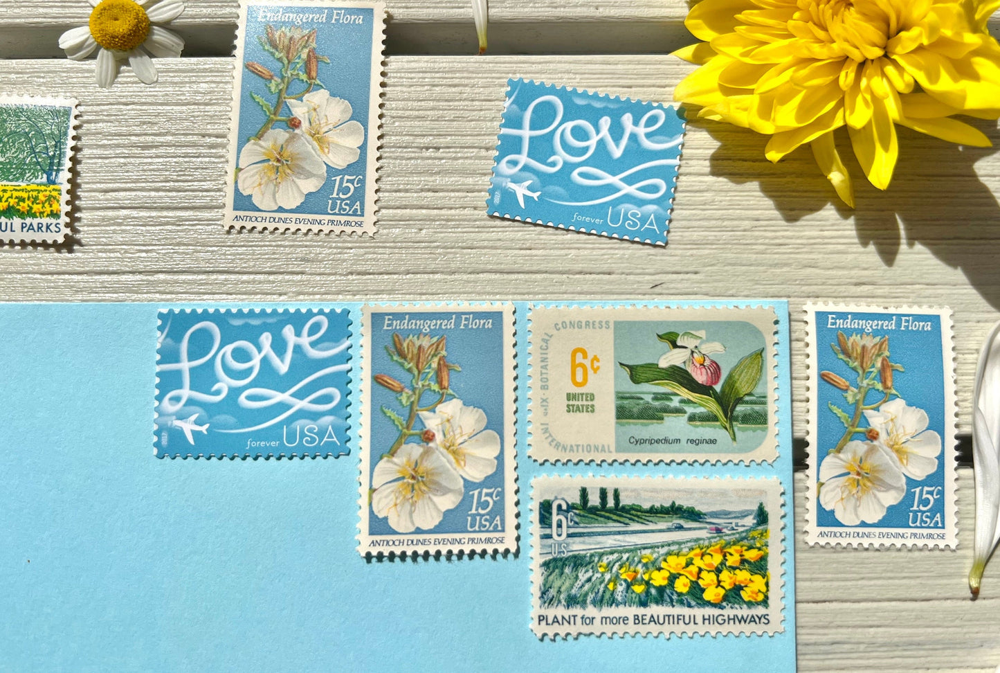 Light Blue USPS Stamps - Love/Wedding Themed