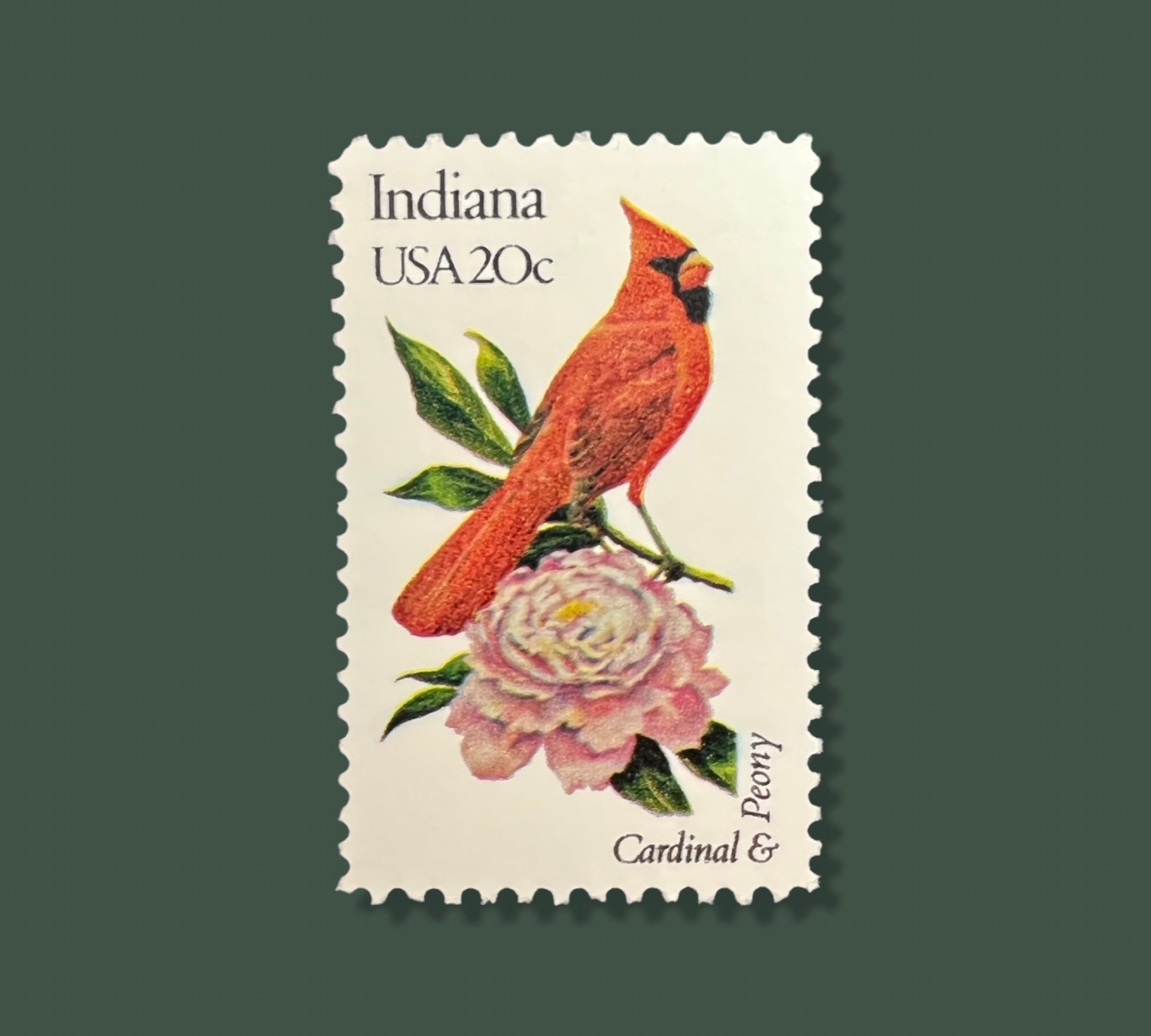 25 Vintage Indiana State Flower & Bird Stamps - Indianapolis/Fort Wayn –  studioACK