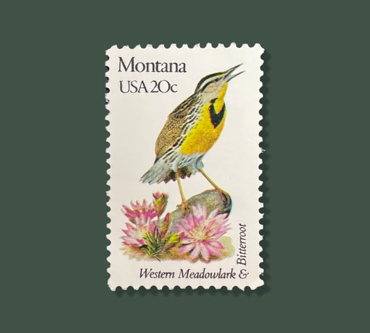 25 Vintage Montana State Flower & Bird Stamps -  Billings/Missoula USPS Stamp - Bitterroot Postage Stamp