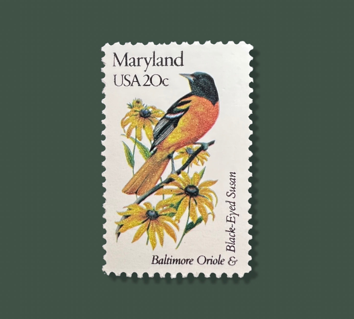 25 Vintage Maryland State Flower & Bird Stamps -  Baltimore/Annapolis USPS Stamp - Black Eyed Susan Postage Stamp