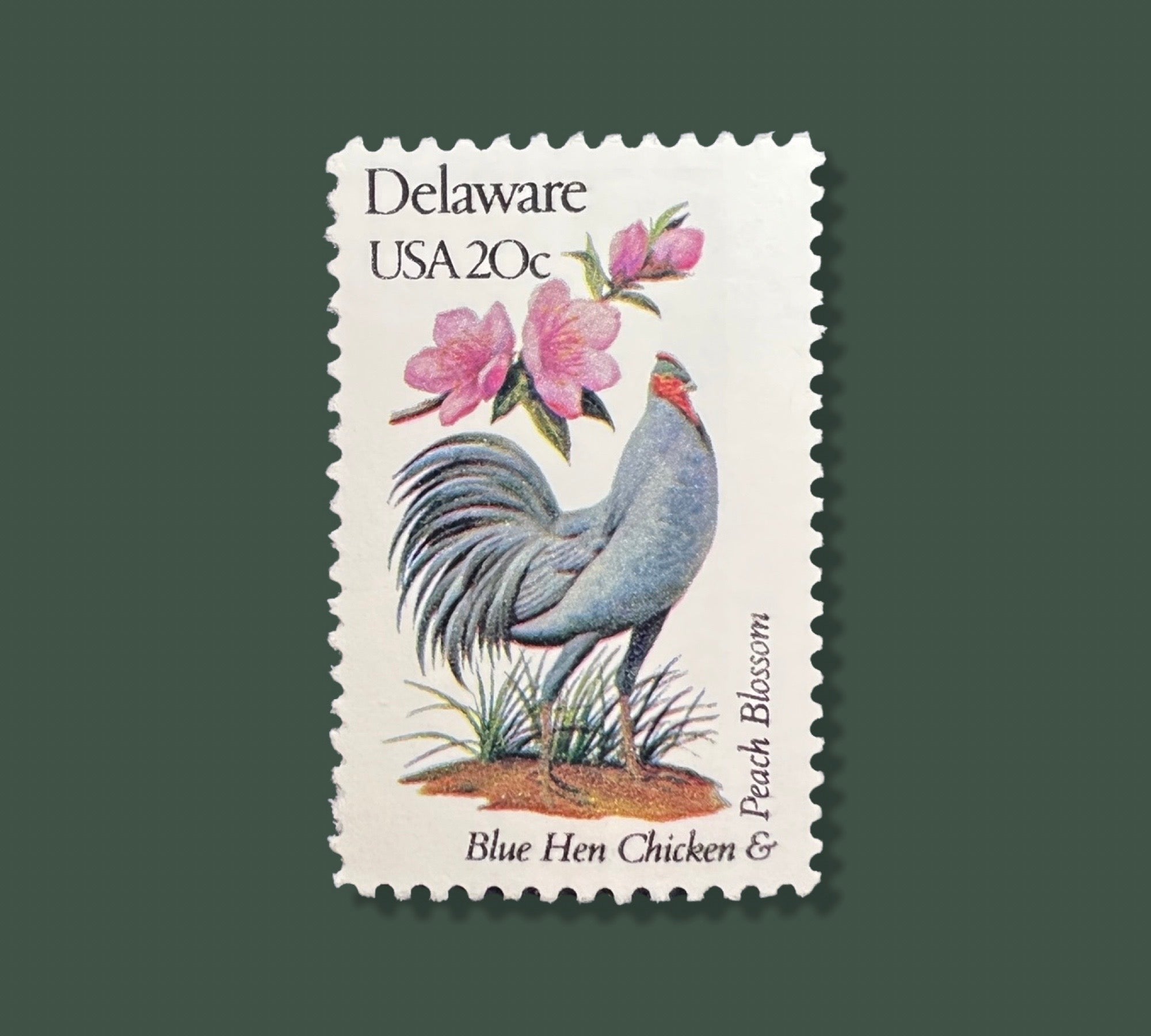 25 Vintage Delaware State Flower & Bird Stamps - Dover/Wilmington USPS  Stamp - Peach Blossom Postage Stamp