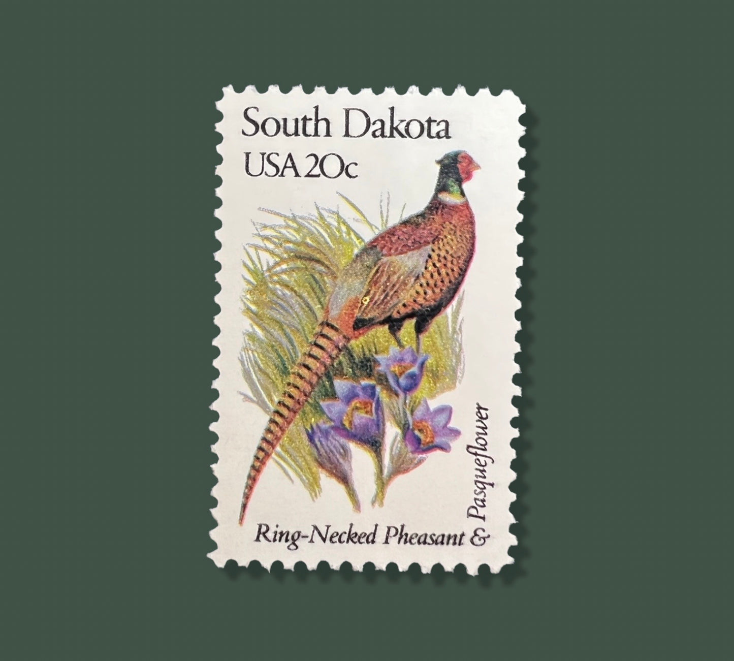 Vintage South Dakota State Flower & Bird Stamps - Sioux Falls/Rapid City/Aberdeen USPS Stamp - Pasqueflower Postage Stamp