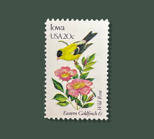 25 Vintage Iowa State Flower & Bird Stamps -  Des Moines/Cedar Rapids USPS Stamp - Wild Rose Postage Stamp