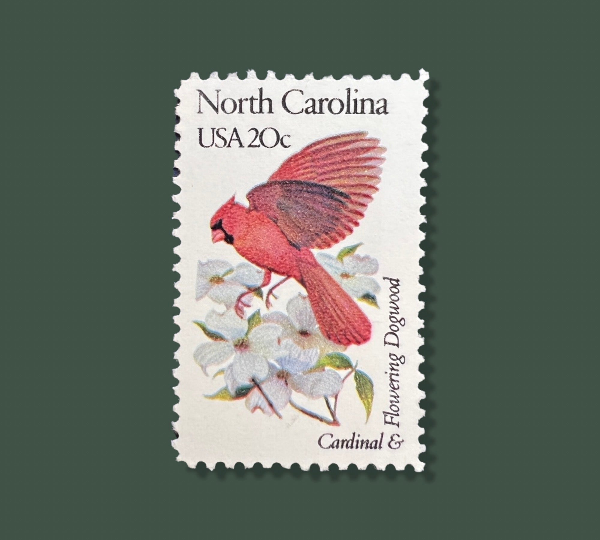 25 Vintage North Carolina State Flower Bird Stamps Charlotte Raleigh Durham USPS Stamp Flowering Dogwood