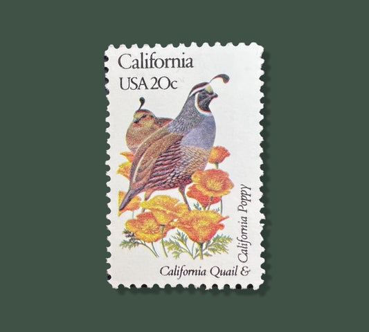 Vintage California State Flower & Bird Stam - Los Angeles/San Diego/San Francisco USPS Stamp - California Poppy Postage Stamp