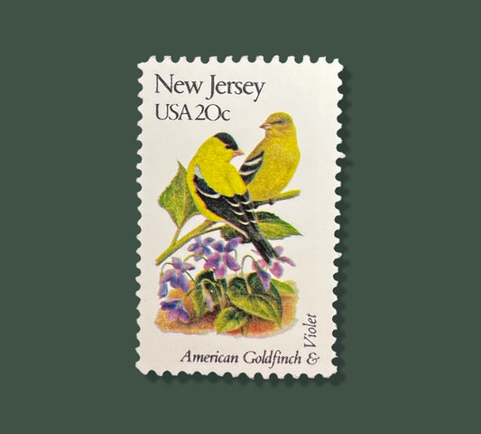 25 Vintage New Jersey State Flower & Bird Stamps - Hoboken/Newark/Jersey City/Princeton USPS Stamp - Violet Postage Stamp